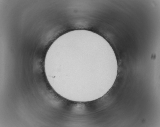 X0000112410162200908211130