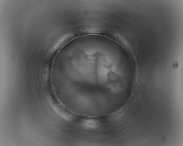 X0000112410163200908211130