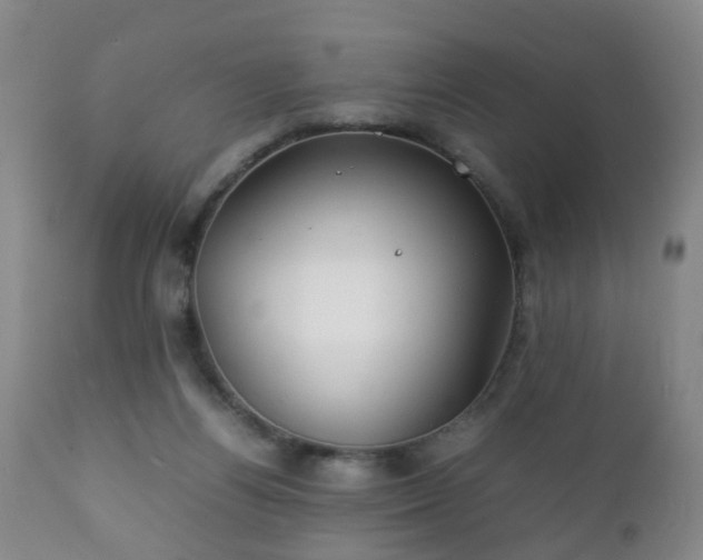 X0000112410164200908211130