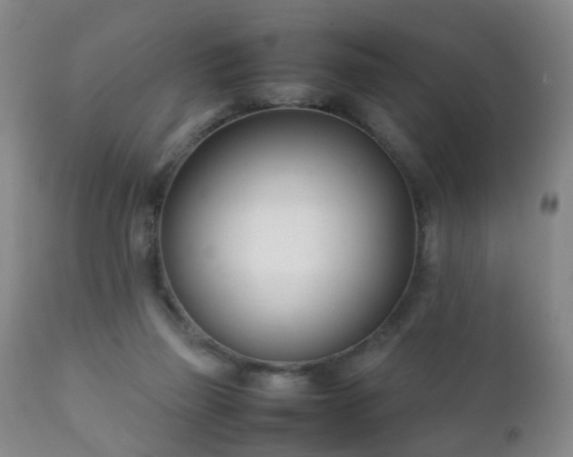 X0000112410165200908211130