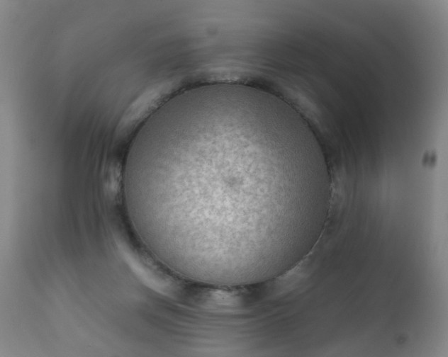 X0000112410166200908211130