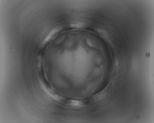 X0000112410167200908211131