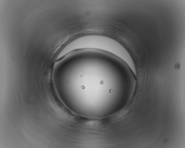 X0000112410168200908211131