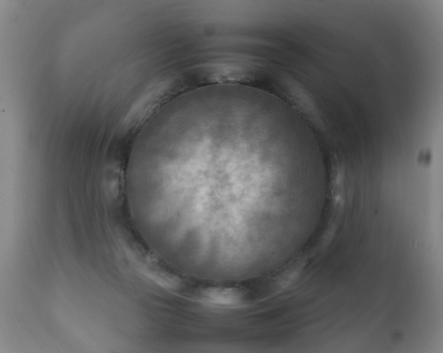 X0000112410169200908211131