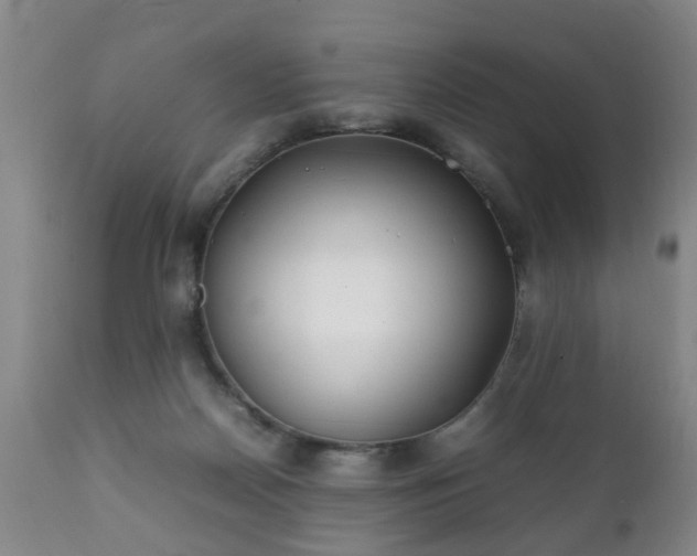 X0000112410170200908211131