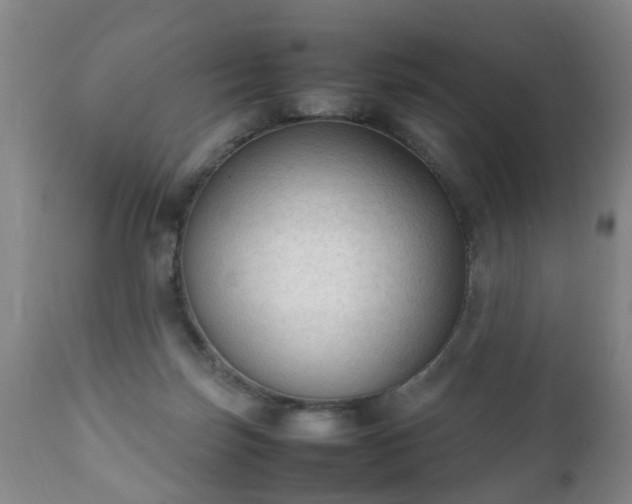 X0000112410171200908211131