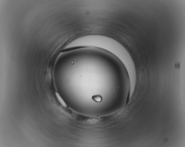 X0000112410172200908211131