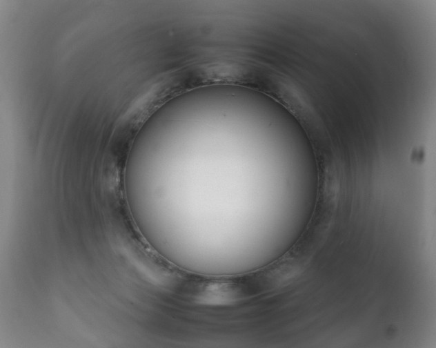X0000112410173200908211131