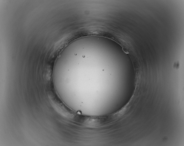 X0000112410174200908211131