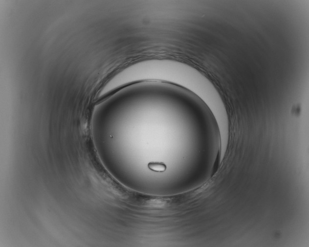 X0000112410176200908211131
