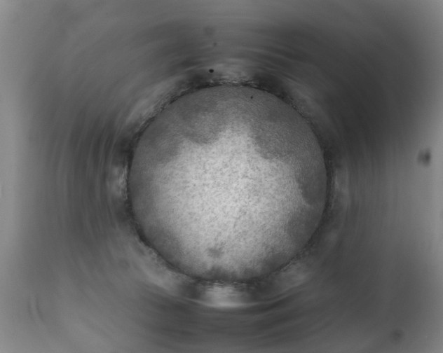 X0000112410177200908211131
