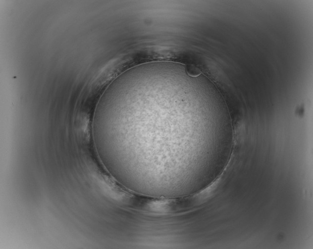 X0000112410178200908211131