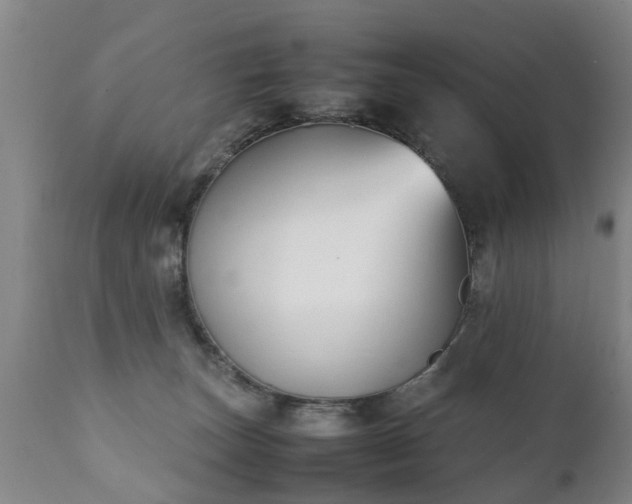 X0000112410179200908211131