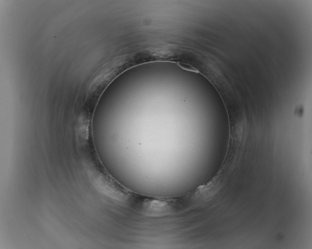 X0000112410180200908211131