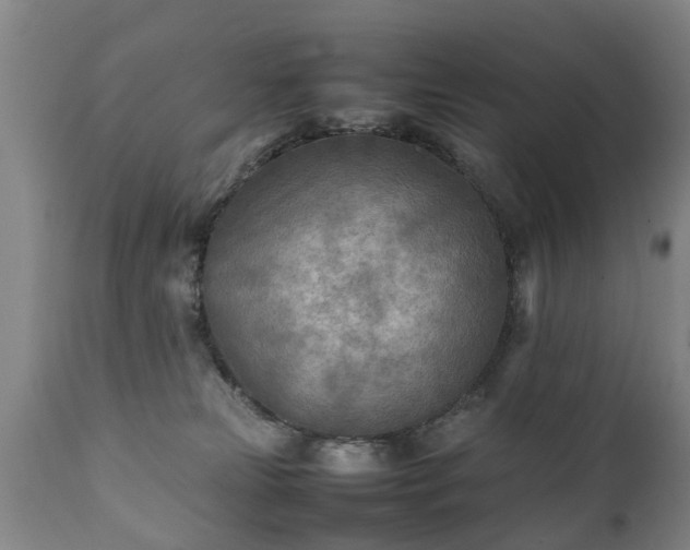 X0000112410181200908211131