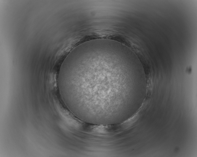X0000112410182200908211131