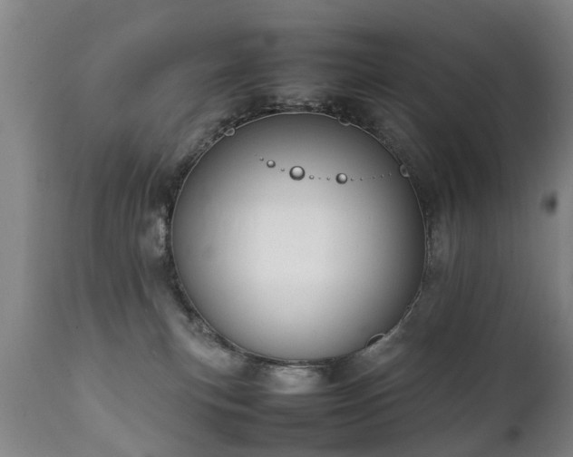 X0000112410183200908211131