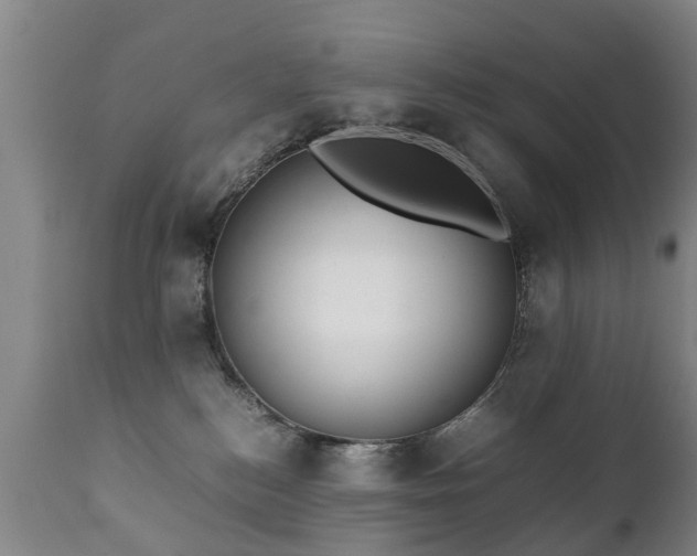 X0000112410184200908211131
