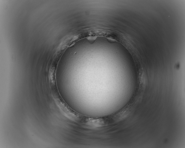 X0000112410185200908211131