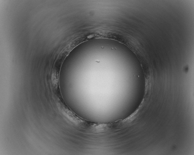 X0000112410186200908211131