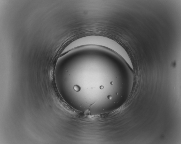 X0000112410188200908211131