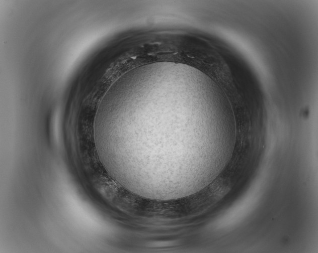 X0000112410189200908211131