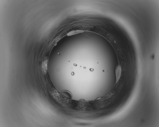 X0000112410190200908211131