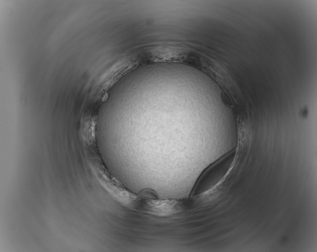 X0000112410191200908211131