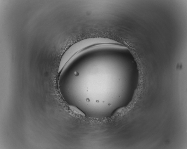 X0000112410192200908211131