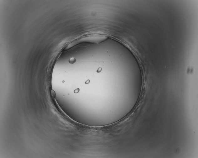 X0000112410193200908211130