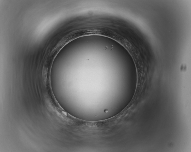 X0000112410194200908211130