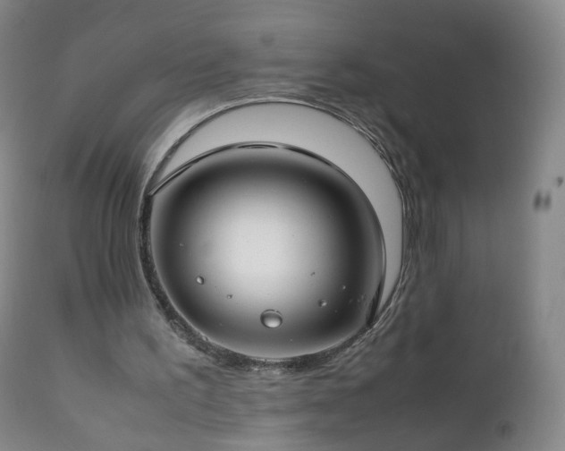 X0000112410195200908211130