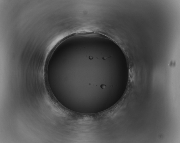 X0000112410196200908211130