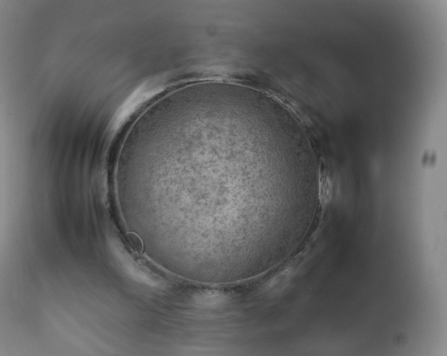 X0000112410198200908211130