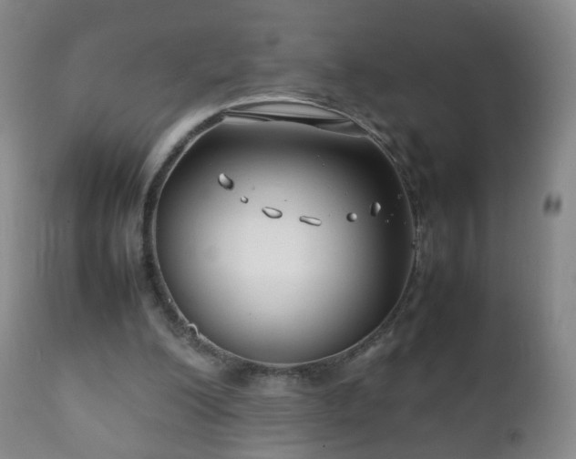 X0000112410200200908211130