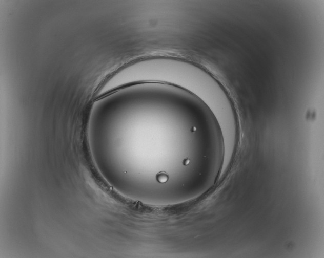 X0000112410201200908211130