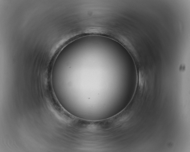 X0000112410204200908211130