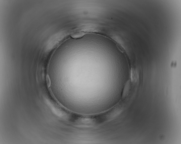 X0000112410205200908211130