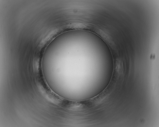 X0000112410206200908211130