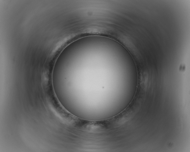 X0000112410208200908211130