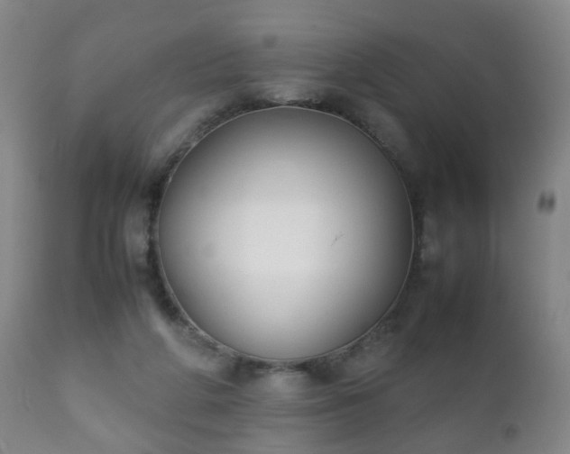 X0000112410210200908211130