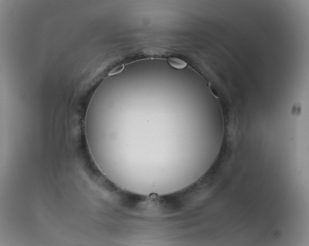 X0000112410211200908211130