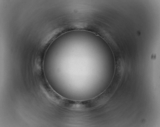 X0000112410212200908211130