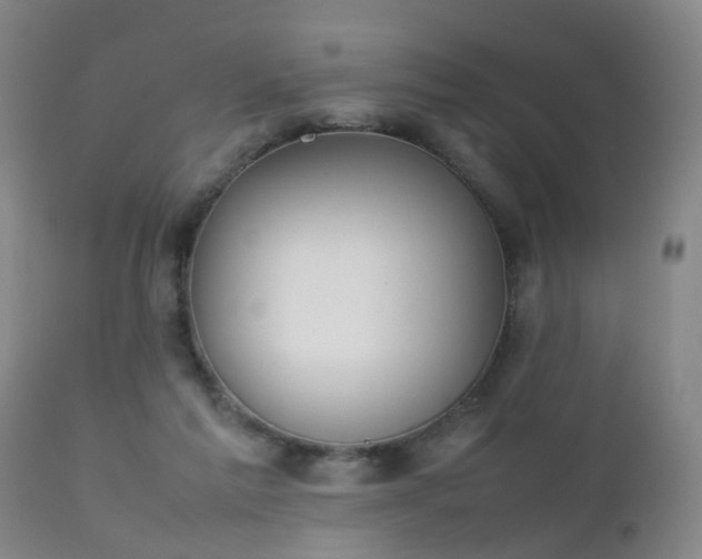 X0000112410213200908211130