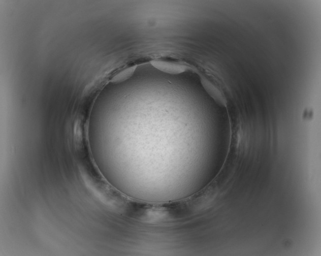 X0000112410214200908211130
