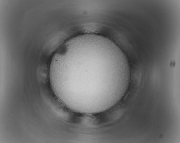X0000112410215200908211130