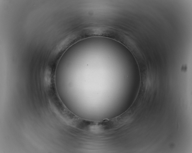 X0000112410216200908211130