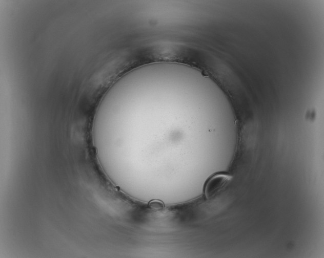 X0000112410217200908211130