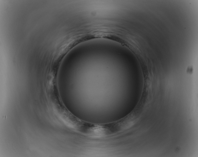 X0000112410219200908211130