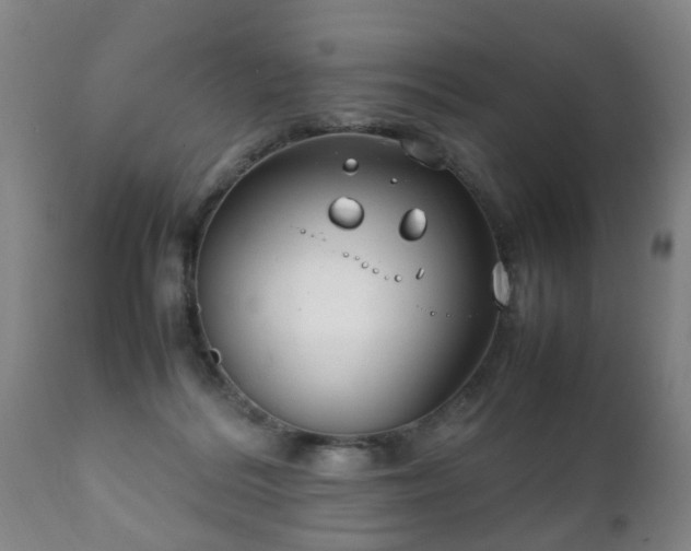 X0000112410220200908211130